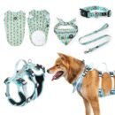 Pet harness, Leash, Collar, Drool bib, Dog clothes, Set - Five-piece Set of Summer Seaside