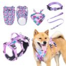 Pet harness, Leash, Collar, Drool bib, Dog clothes, Set - Chaoyang Five - Piece Set