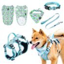 Pet harness, Leash, Collar, Drool bib, Dog clothes, Set - Five-piece set in eco-friendly colors