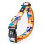 Pet harness, Leash, Collar, Drool bib, Dog clothes, Set - Colorful Oil Painting-style Collar