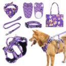 Pet harness, Leash, Collar, Drool bib, Dog clothes, Set - Six-piece Set of Dancing Narcissus