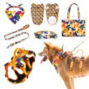 Pet harness, Leash, Collar, Drool bib, Dog clothes, Set - six oil paintings