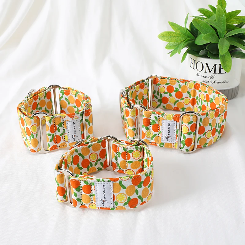 Italian Greyhound Whippet Martingale wide adjustable dog collar patterned cotton collar - Image 4